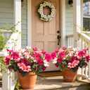 Artificial Rose Red Petunias, 4 Pack UV Resistant Faux Flowers for Outdoor | Vibrant Colors, UV Resistant, Never Fades,Silk Material, Maintenance-Free, Versatile Decor