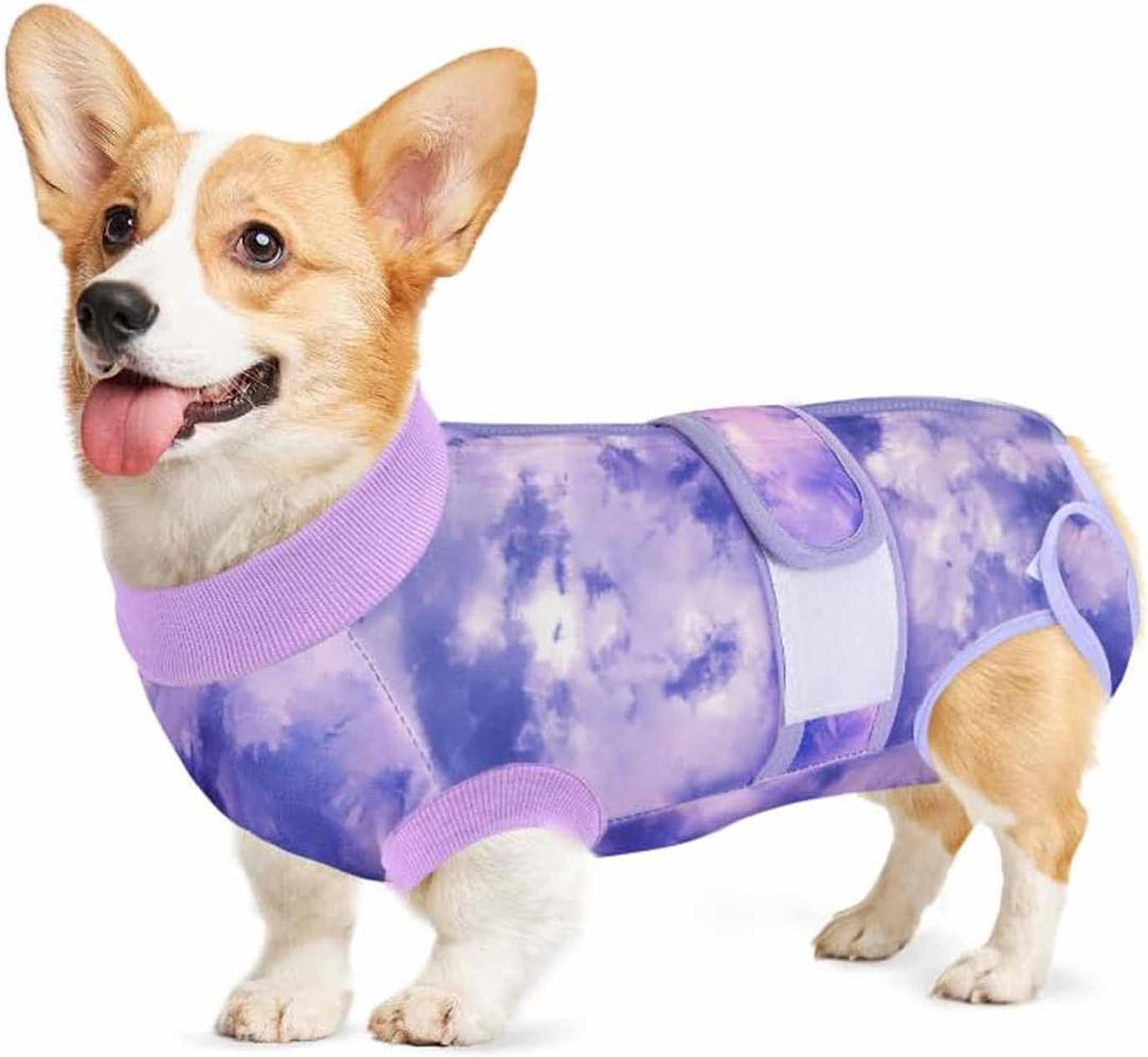 Lukovee Recovery Suit for Dogs, Zipper On Recovery Suit for Female Male Dog, Onesie Abdominal Wounds Cone E-Collar Alternative Prevent Licking Spay Recovery Suit (2TPU,Large), Purple Tie-dye