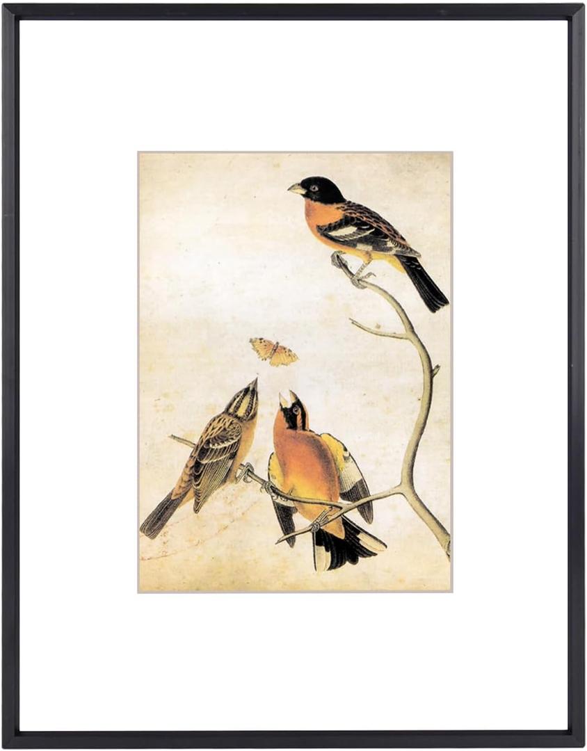 BKABOT 11x14 Picture Frame, Black Metal Photo Frames with HD Glass, Fits 8x10 with Mat or 11 x 14 without Mat, Display for Wall and Table, 1 Pack