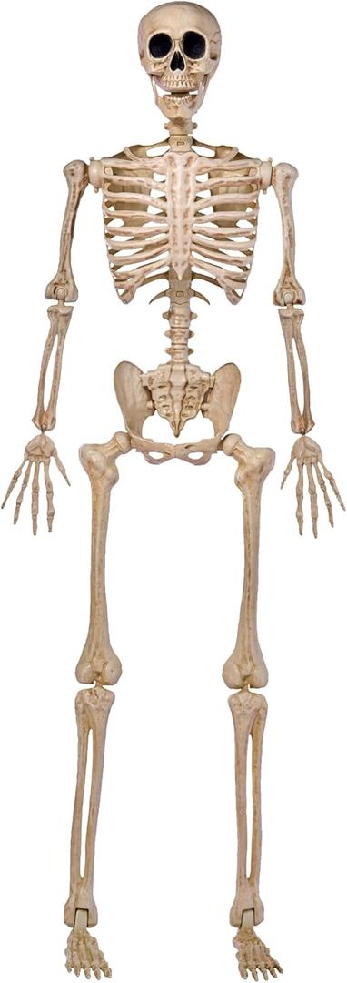JOYIN 5 FT Halloween Skeleton Life Size, Stayable Posable Skeleton Decor, Full Body Movable Joints Giant Skeletons for Halloween Decoration Outdoor, Haunted House Prop, Spooky Scary Graveyard Party