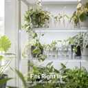 Plant Propagation Station, 24 Floral Tubes, Floral Arrangement Kit, Modern Acrylic Desktop Rack with Propagation Tubes for Hydroponics Rooting Cuttings, Bud Vase Holder, Plant Lover Gift