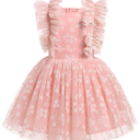 Toddler Wedding Dress, Baby Girl Dress, Dress for Baby Girl, Toddler Birthday Dress Infant Ruffled Embroidered Special Occasion Graduation Sundress for Baptism Bridesmaid Pink Daisy 5-6 Years