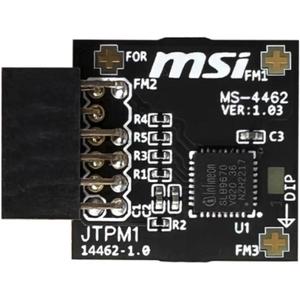 TPM 2.0 Module TPM SPI 12-1 Pin Module for MSI Motherboard Compatible with TPM2.0(MS-4462)