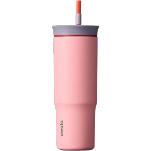Owala Tumbler Stainless Steel 24oz, Color May Vary