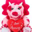 2 x Kasyat Valentine Gift 12' Big Triceratops Stuffed with Heart Cute Plush Animal Valentine Soft Dinosaur Pink Romantic Gift Adorable Home Decoration for Birthday Anniversary Girlfriend Boyfriend Lover