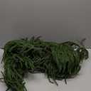 9FT Christmas Garland Norfolk Pine Garland Real Touch Artificial Greenery Garland for Mantle Fireplace Table Indoor Outdoor Holiday Decortions (Dark Green)