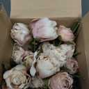 Thiccywoov 12 Pcs Faux Peony Stems Flowers Bulk Vintage Artificial Silk Peonies Stems Real Look Fake Peonies Branch for Vase Filler DIY Bouquet Centerpiece Home Indoor Outdoor Decor (Brownish)