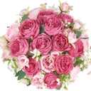 Mkono Peonies Artificial Flowers, Small Silk Flowers for Home Decor Indoor Fake Bouquet Faux Floral Arrangements Dining Table Centerpieces for Kitchen Party Decor Mixed Pink, 4 Pack