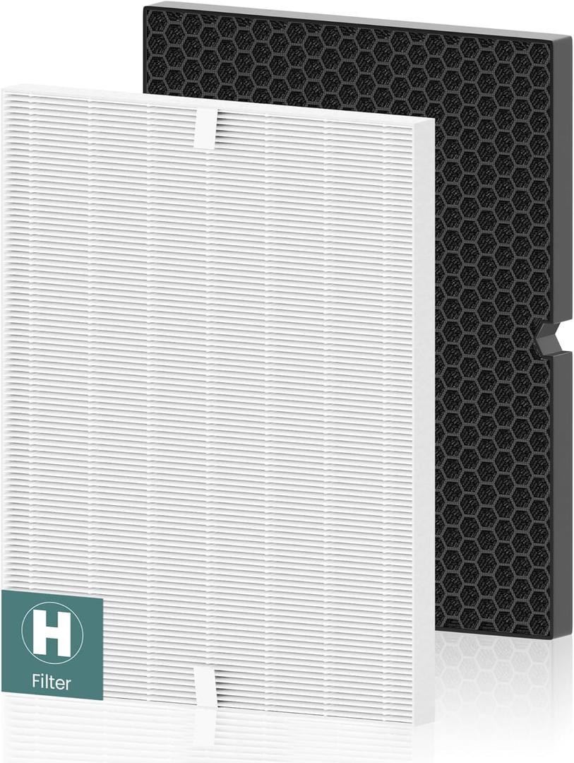 116130 Replacement Filter H for Winix 5500-2 AM80 Plasmawave Air Purifier, Includes 1 Pack Filter H and 1 Pack Activated Carbon Filter