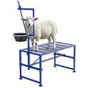 Goat Stand for Milking with Feed Bin, 600LBs Goat Milking Stand for Sheep Trimming Hoof, Use for Livestock, Iron Blue, Adjustable Size
