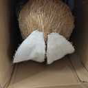 DR.DUDU 4FT Outdoor Easter Decorations for Porch & Home, Extra Large Easter Bunny-Sisal Rabbit, Standing Tall Bunny Statue with Eggs for Outside, Spring Decor (Boy)