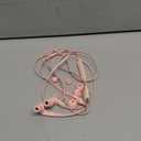 Belkin SoundForm Wired Earbuds with USB-C Connector, in-Ear Earphones w/Microphone - USB-C Headphones for iPhone 17, iPhone 16, iPad mini, Galaxy S25, Google Pixel 9, Android, and More - Pink