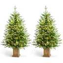 4FT Christmas Tree with 100 Lights, Potted Artificial Christmas Tree Outdoor Decor 8 Mode Timer Waterproof with Real-Like Tips & Round Branches for Front Door, Porch, Pack of 2 (Green) 