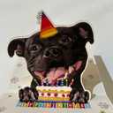 3 x Staffordshire Bull Terrier Birthday Card 3D Pop Up  Staffy with Party Hat & Birthday Cake, Funny Birthday Card for Staffy Lovers, Staffordshire Bull Terrier Mom Dad Gift, 6x6 Inch, Includes Envelope