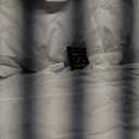 White Goose Feather Down Fiber Comforter King Size, Premium All Season Duvet Insert, Hotel Style Bedding Comforter, 50 Oz Lightweight (106x90,White) King