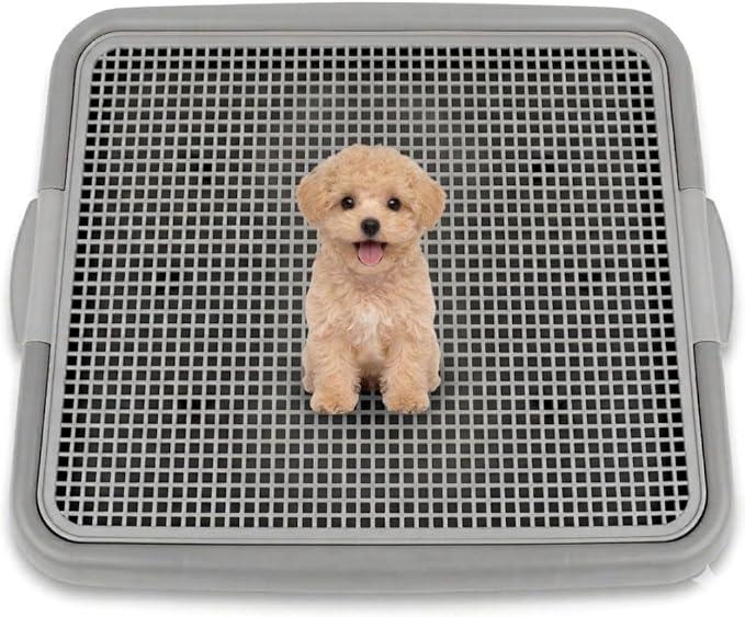 Puppy Potty Tray with Mesh – Dog Pee Pad Holder for Small Dogs & Puppies, Indoor Dog Potty Training Toilet, Plastic Leak-Proof Dog Potty Tray (Small - 20 x 16 in)