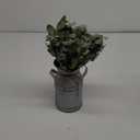 Winlyn Artificial Eucalyptus Stems in Rustic Metal Milk Can Vase Faux Plants Eucalyptus Leaves Stems with White Seeds Greenery Arrangement 13.4" Tall for Farmhouse Home Wedding Table Centerpiece Dcor