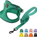 BELLA & PAL Step in Vest Harness for Small and Medium Dogs, No Pull Small Dog Harness with Leash Set, Comfortable Air Mesh Dog Vest Harness with Reflective Strip (Emerald, L)