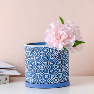 Decorative Cement Flowerpot Succulent Planting Pot of Pots Home Flower Live Succulents Blue