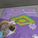 Outward Hound by Nina Ottosson MultiPuzzle Interactive Dog Treat Puzzle Enrichment Toy, Level 4 Expert