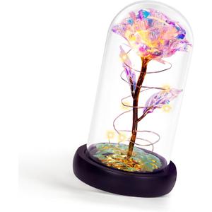 Childom Mothers Day Flowers Gifts for Mom Grandma, Birthday Gifts for Women, Valentines Gifts for Her, Mom, Women, Wife, Grandma, Light Up Rose in Glass Dome, Colorful Rainbow Mothers Day Flowers for Delivery