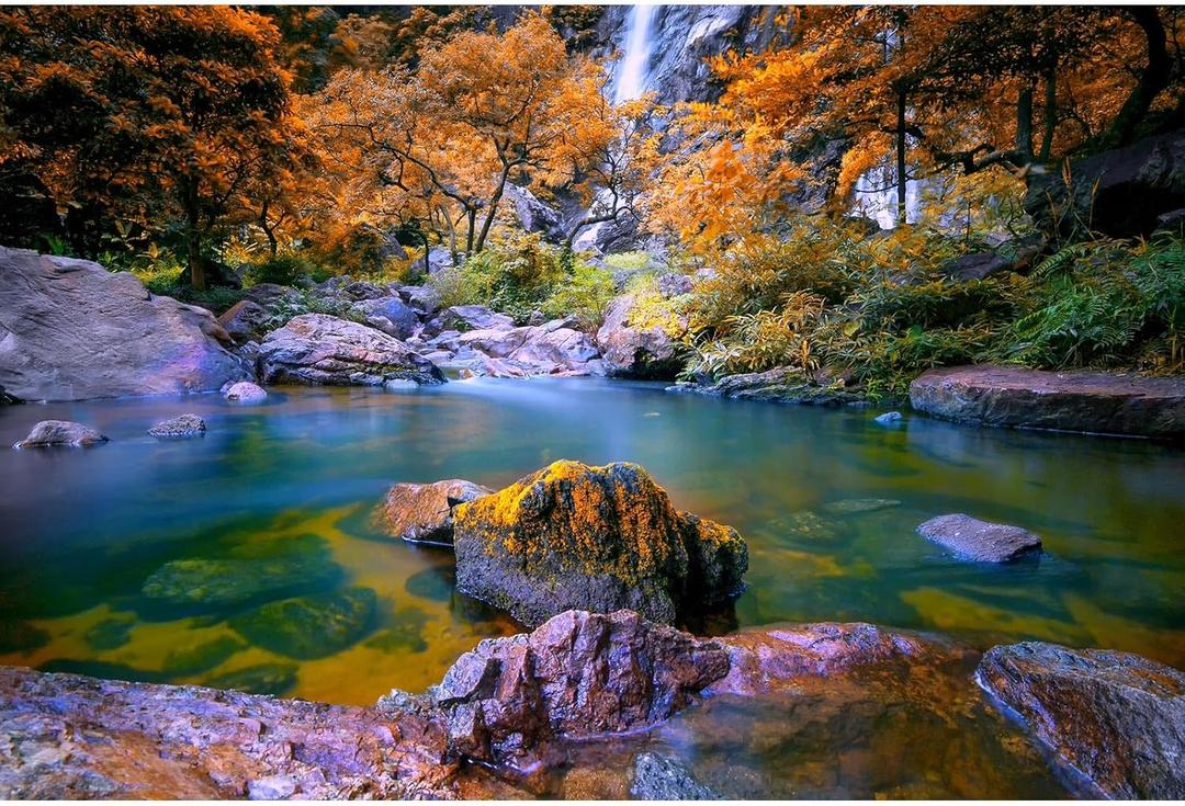 Waterfall Aquarium Background Autumn Jungle Forest Lake Stream Natural Landscape Terrarium Background Tranquil River Huge Rocks Fish Tank Background Fall Forest Theme Reptile Background 72x24in (Orange)