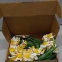 3 Bundles Daffodil Artificial Flowers 14.5In Real Touch White Faux Daffodils Flowers Bouquet for Vase Home Office Wedding Floral Arrangement Decoration