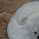 uoozii 20" | 4 Pounds Light Brown Dog Weighted Stuffed Animals with Unscented Microwavable Heating Pad, Cute Coolable Heatable Weighted Plush Warm Gift for Kids & Adults