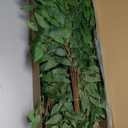 Eonflux 40pcs 68cm Artificial Ruscus Style Greenery Stems, Italian ruscus Greenery, Faux Greenery Garland for Wedding Arch Decor, Balloon Arch, Centerpieces, Home Floral ArrangementsChristmas Stems