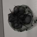 Fascinators Hats for Women Tea Party Hat Feather Mesh Headband Vintage Lace Cocktail Headwear Veil Hair Clip Church (Black)