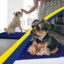 Muddy Mat | Super Absorbent Door Mat Indoor, Microfiber Quick Dry Chenille Entryway Rug, Non-Slip Front Door Mat, Indoor Mats for Entryway, Machine Washable Pet Rug, Navy Blue 36"x60"