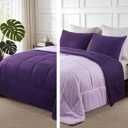 Exclusivo Mezcla Lightweight Reversible Queen Size Comforter Set, Down Alternative Comforter with 2 Pillow Sham, Queen Size Bedding Set for All Seasons, Deep Purple/Lilac