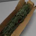 Watayo 45 Pcs Christmas Artificial Pine Branches with Red Berry Stems, 10.5" Faux Evergreen Norfolk Pine Cypress Leaves Stems, Fake Foliage Pine Needles Picks for DIY Craft Garland Home Decor