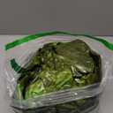 JOYIN 62 Giant T.rex Dinosaur Inflatable for Party Decorations, Birthday Party Gift for Kids and Adults, Dinosaur Pool Toys (Over 5Ft. Tall)