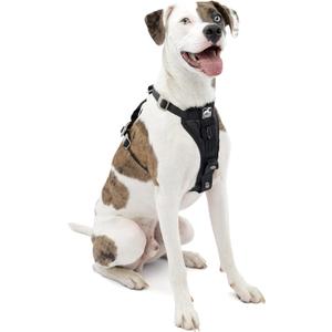 Kurgo Enhanced Strength Tru-Fit Dog Car Harness - Pet Travel Safety Harness - Crash Test Certified Fit - Five Point Adjustment - Secure Buckle - Padded Chest - Black - Medium