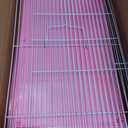 Hamster Cages, Small Animal Travel Cages - Ideal for Temporarily Transporting or Carrying Hamsters, Guinea Pigs, Rats, Parrots, Birds, Squirrels and Other Small Animals, Medium