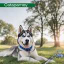 Catapamey Dog Tie Out Cable and Stake,with 30FT Heavy Duty Cable,360 Swivel Dog Run Stake-No Tangle-Runner for Yard,-Suitable for Up to 150 lbs- Idela for Yard Outdoor Camping