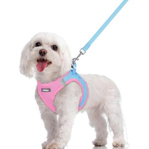 rabbitgoo Dog Harness Small Sized and Leash Set, Step in Soft Light Puppy Vest, Breathable Mesh Pet Harness, Reflective for Safe Easy Walking, Blue & Light Pink M (M (Chest: 16 - 18.5"))