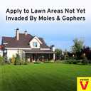Victor Mole and Gopher Repellent - Repels Mole, Gopher, Vole, and Other Burrowing Animals - Repel Rodents Outdoors - M7002-2 - 10 lb Bag