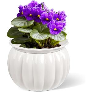 African Violet Pots, Self-Watering Ceramic Planter  6 Inch Pot for Indoor Plants, Succulents, Herbs & Small Houseplants, Simple Self-Watering Design for Home & Office Dcor, White (White-pumpkin Shape)