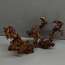 PINVNBY Natural Large Driftwood for Aquarium Fish Tank Decorations, Driftwood for Reptile Tank Bearded Dragon Tank Accessories Terrarium Decor (7.5 to 14.5 inches / 2 Pack)