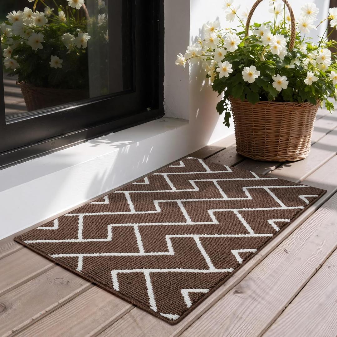 GRANNY SAYS Door Mat Inside Entrance Non-Slip, Welcome Mats Front Door Mat for Entryway, Front Porch Matt Low Profile Resist Dirt Easy to Clean, 32"x20", Dark Brown (1'8" x 2'8" (Rectangular))