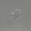 Apple EarPods Headphones with USB-C Plug, Wired Ear Buds with Built-in Remote to Control Music, Phone Calls, and Volume