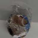 Super Realistic Plush Penguin Decor 2025 New Real Penguin Stuffed Animal Interactive Gifts Penguin Figurines Statue Soft Cute Stuffy Live Animal Penguin Stuff Pets Plushies Figures (1PC)