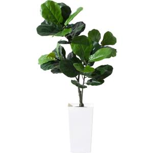 Artificial Fiddle Leaf Fig Tree, 5FT Fake Ficus lyrata Silk Trees with White Tall Planter, Artificial Plant with Natural Wood Trunk and Lifelike Fruits, Large Faux Plant for Home Office Decor
