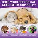 Melatonin for Pets, Melatonin for Dogs, Sleep Aid for Dogs, Melatonins for Cats, Support Aanxiety & Stress Relief, Promotes Relaxation and Deep Sleep, 2Oz Chicken Flavor