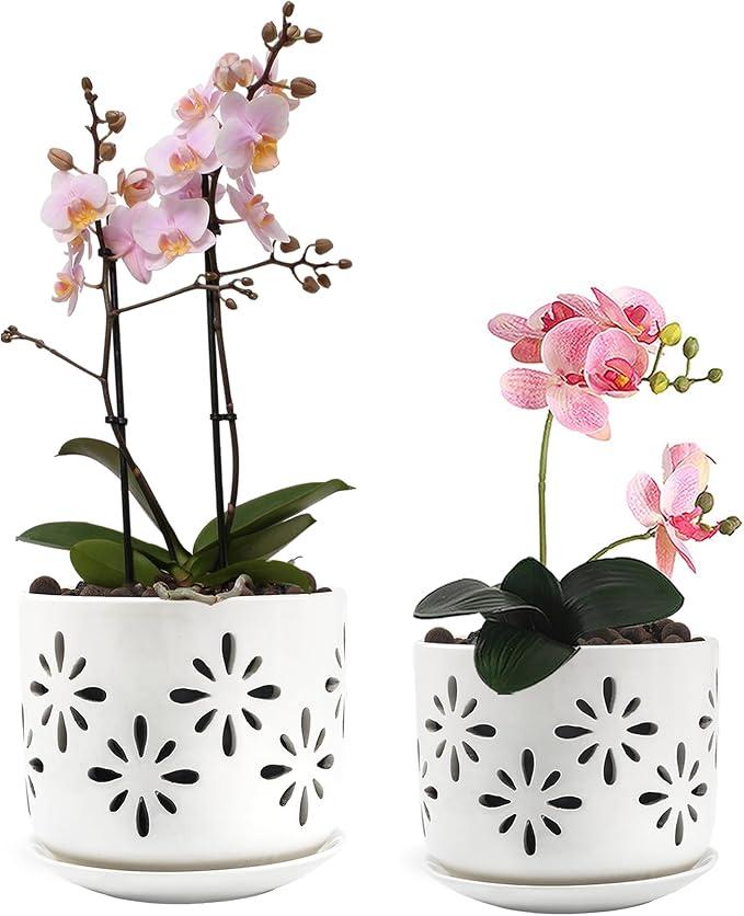 EFISPSS Orchid Pot with Holes, 5 Inch Ceramic Plant Pots with Drainage Holes and Tray, Promoting Air Circulation and Drainage, Indoor/Outdoor White Flower Pots 1 Pack