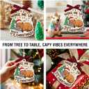 Capybara Christmas Ornament 2025 - Funny Animal Ornaments for Tree Decor, Unique Animal Lover Gifts, Capybara Ornament for Women Men, Funny Gifts for Friends Neighbors Boys and Girls