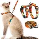 Cat Harness and Leash Set - Escape Proof Adjustable Cat Harness, Comfortable Soft Lightweight, Use Safe & Easy, Walking Travel Kitten Harness for Small Medium Large Cats (Orange King of The Jungle)