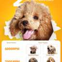 Dog Clippers for Grooming  Cordless Pet Hair Trimmer for Thick Coats, Low-Noise Dog Grooming Kit with Stainless Steel Blade for Large Dogs & Other Pets